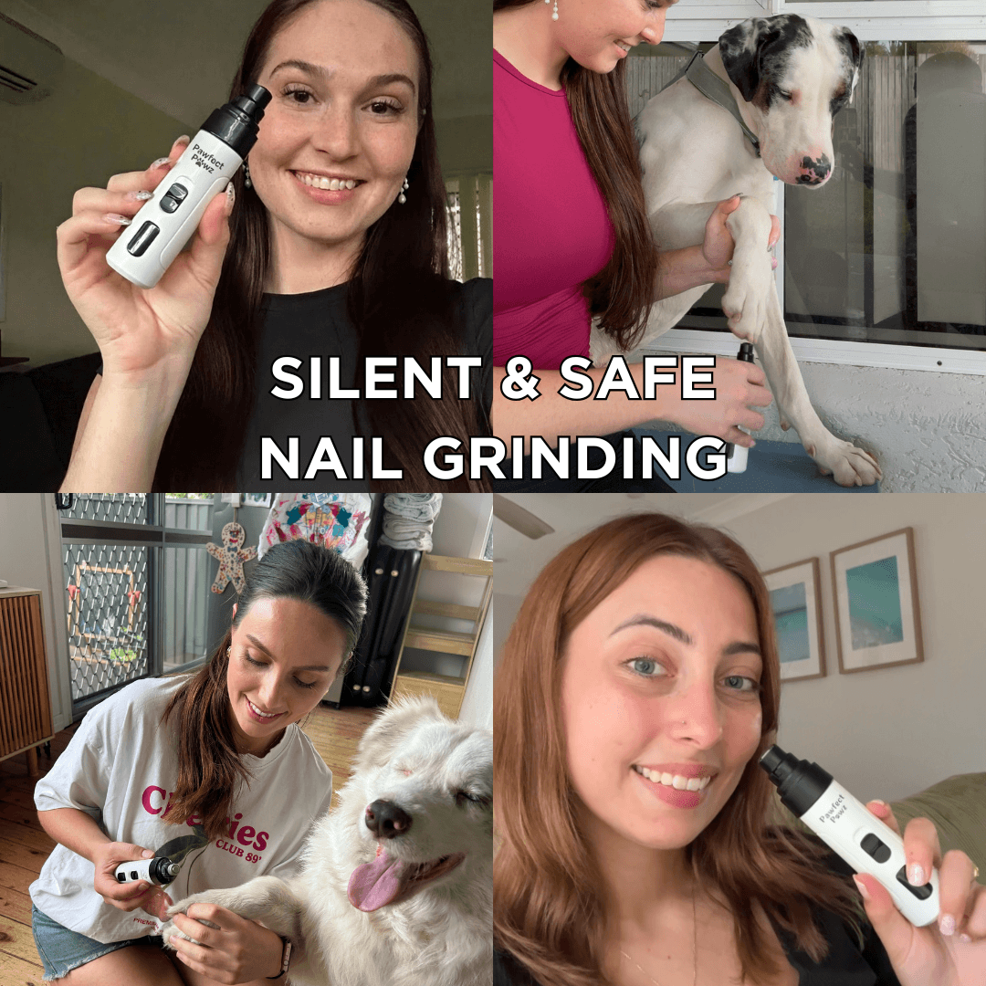 PawfectPawz™ Nail Grinder